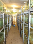 Fish Breeding Tunnel